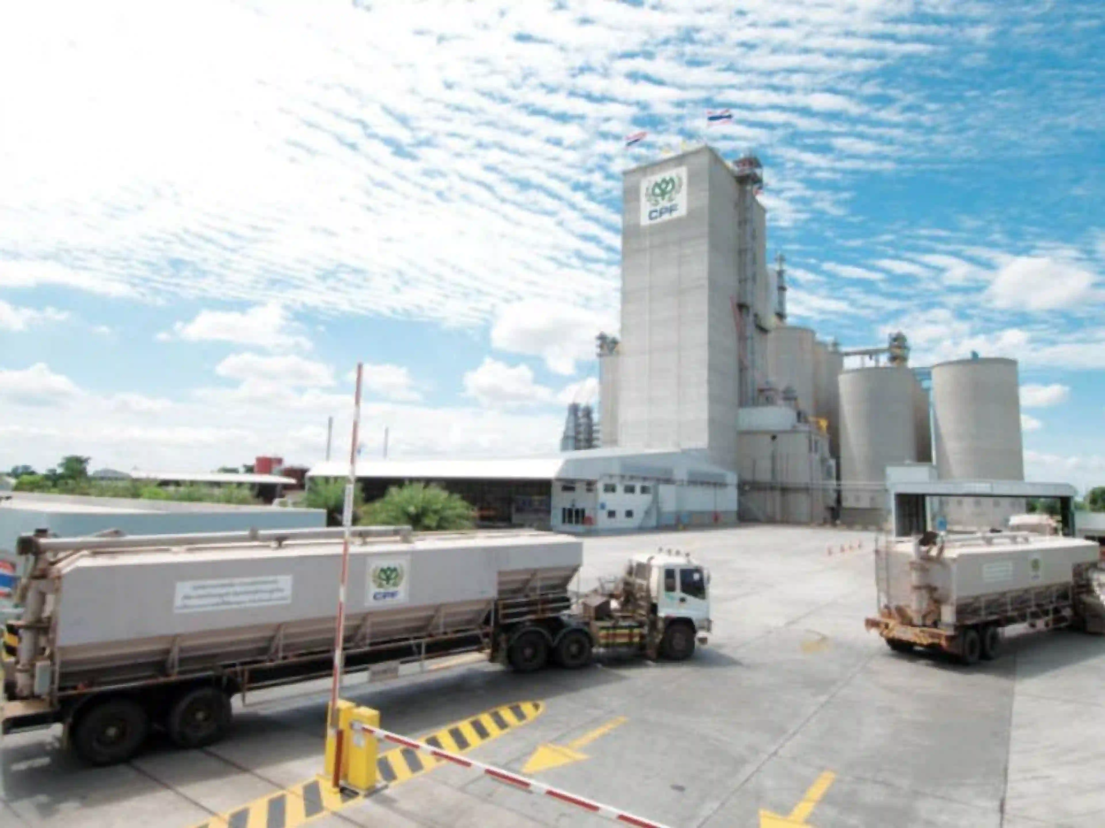 งาน,หางาน,สมัครงาน %เจริญโภคภัณฑ์อาหาร