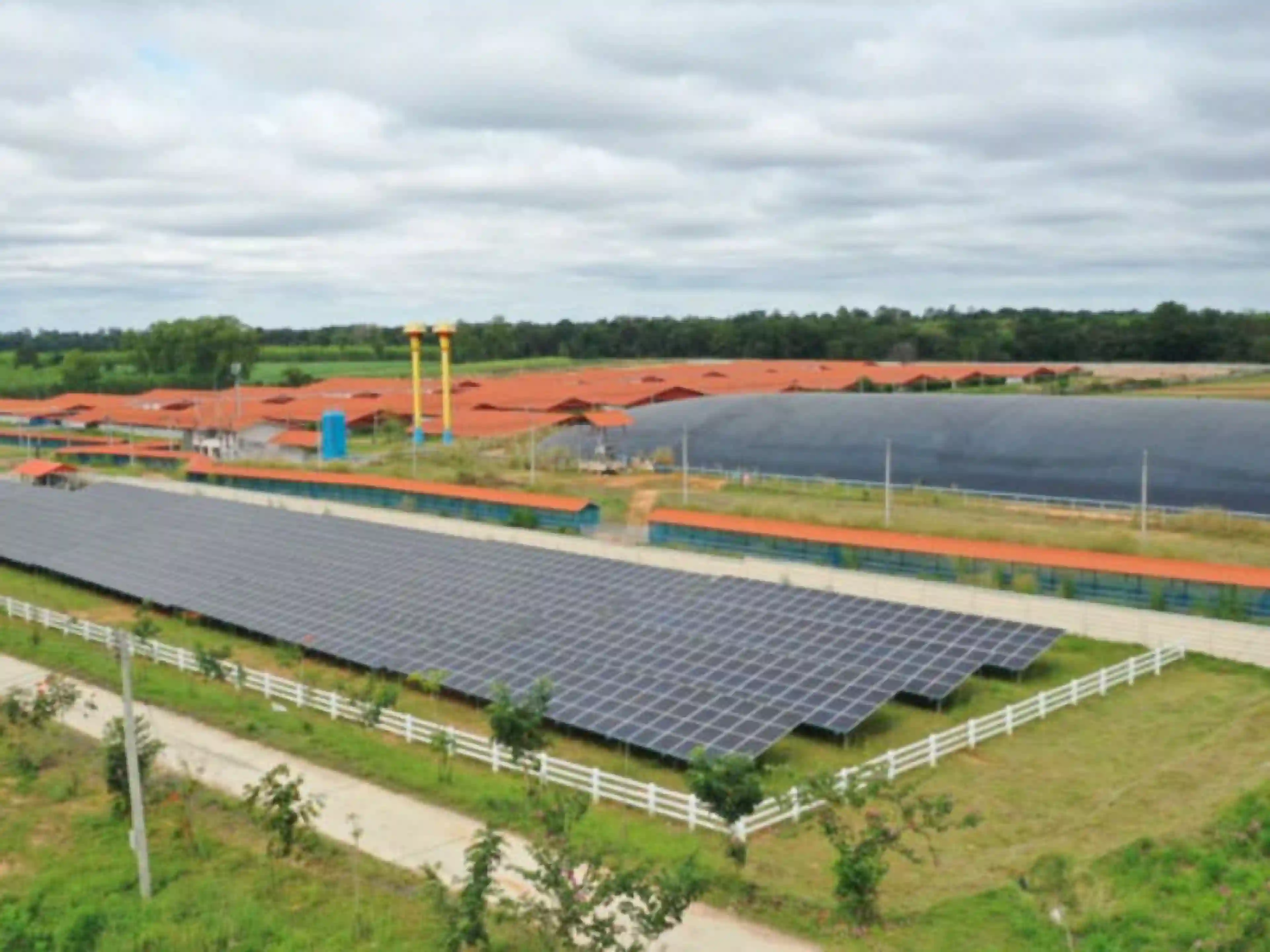 งาน,หางาน,สมัครงาน %เจริญโภคภัณฑ์อาหาร