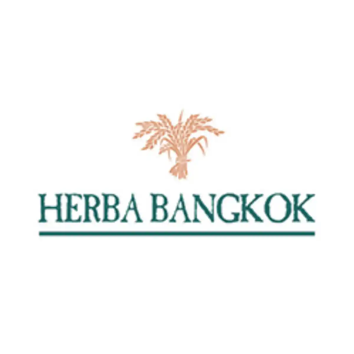Jobs,Job Seeking,Job Search and Apply %เอลล์บา บางกอก