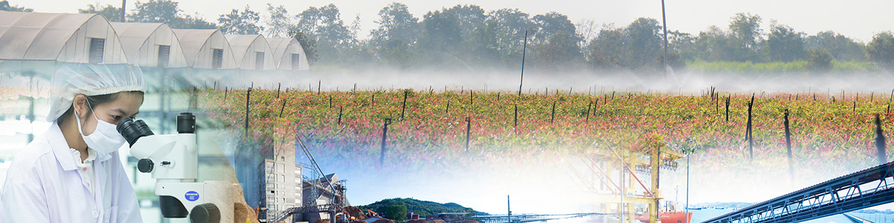 งาน,หางาน,สมัครงาน %แอ๊บโซลูท คลีน เอ็นเนอร์จี้