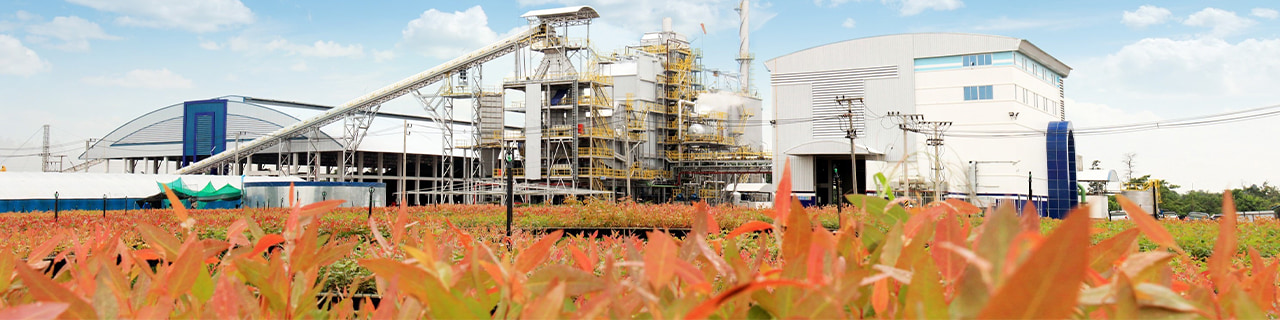 งาน,หางาน,สมัครงาน %แอ๊บโซลูท คลีน เอ็นเนอร์จี้