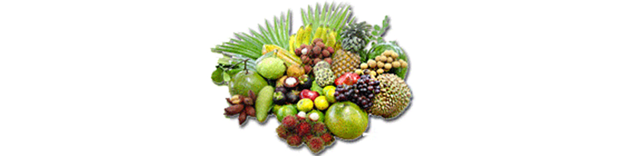 วิจัยและพัฒนาอาหาร - Food Product Development - Fresh Produce Co., Ltd ...