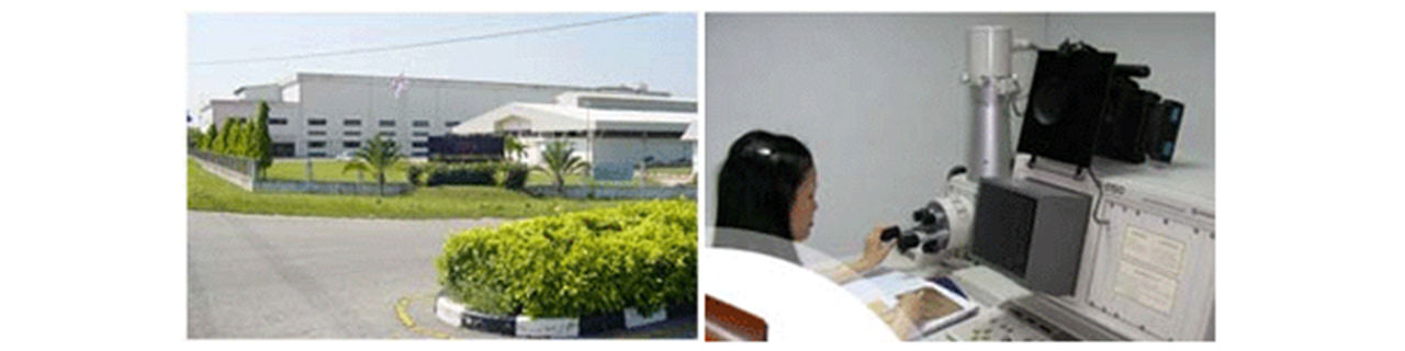 งาน,หางาน,สมัครงาน Bangkok Industrial Laminate