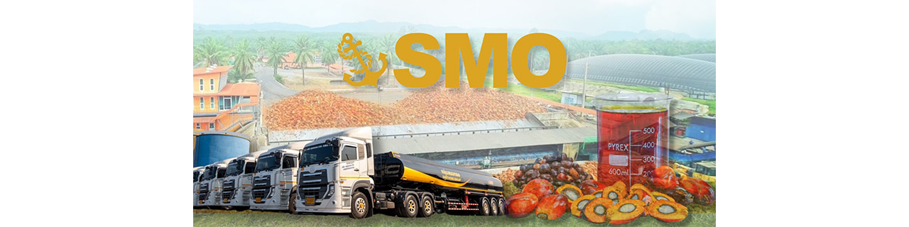 Jobs,Job Seeking,Job Search and Apply %กลุ่มสมอทอง