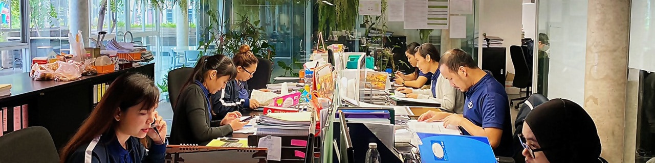 งาน,หางาน,สมัครงาน %ดีพี เทรดดิ้ง