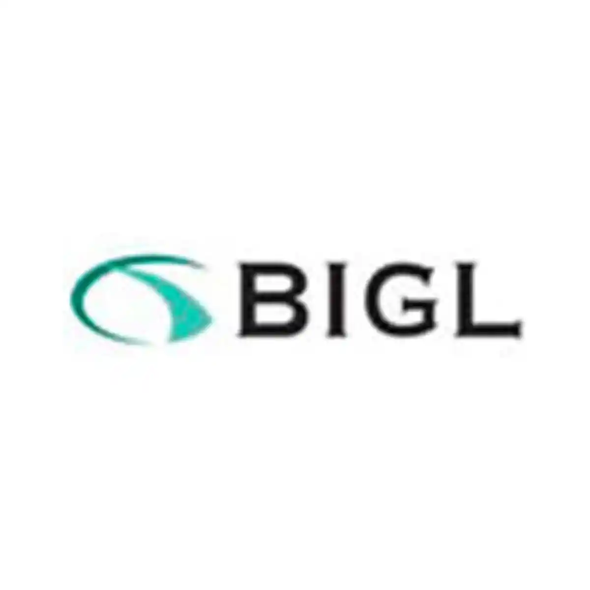 งาน,หางาน,สมัครงาน %BIGL TECHNOLOGIES THAILAND
