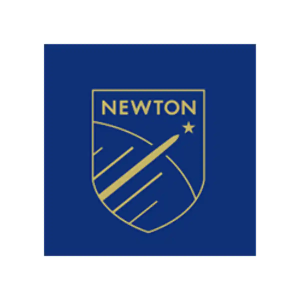 Jobs,Job Seeking,Job Search and Apply %The Newton Group