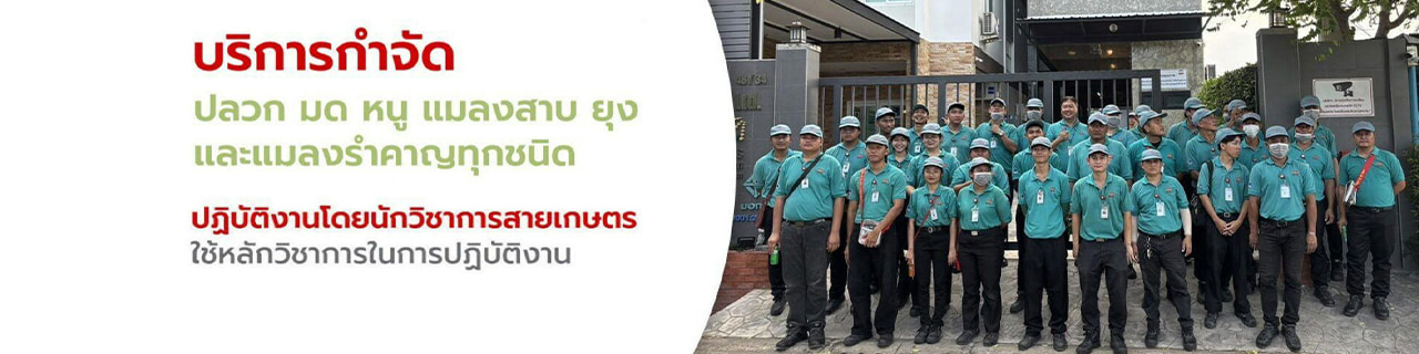 งาน,หางาน,สมัครงาน %มินิ บั๊ค