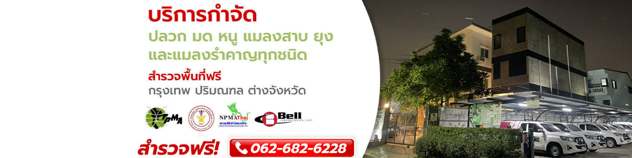 งาน,หางาน,สมัครงาน %มินิ บั๊ค