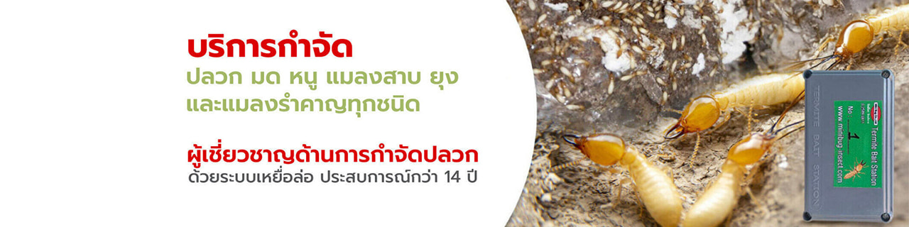 งาน,หางาน,สมัครงาน %มินิ บั๊ค