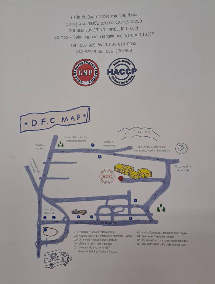 Jobs,Job Seeking,Job Search and Apply %ดับเบิลฟลาวเวอริ่ง คาเมลเลีย