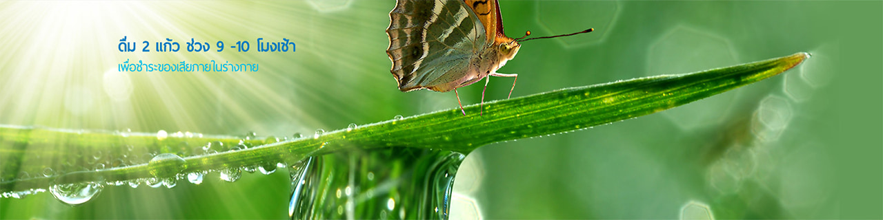 งาน,หางาน,สมัครงาน %ทีเอสอาร์ ลิฟวิ่ง โซลูชั่น  TSR