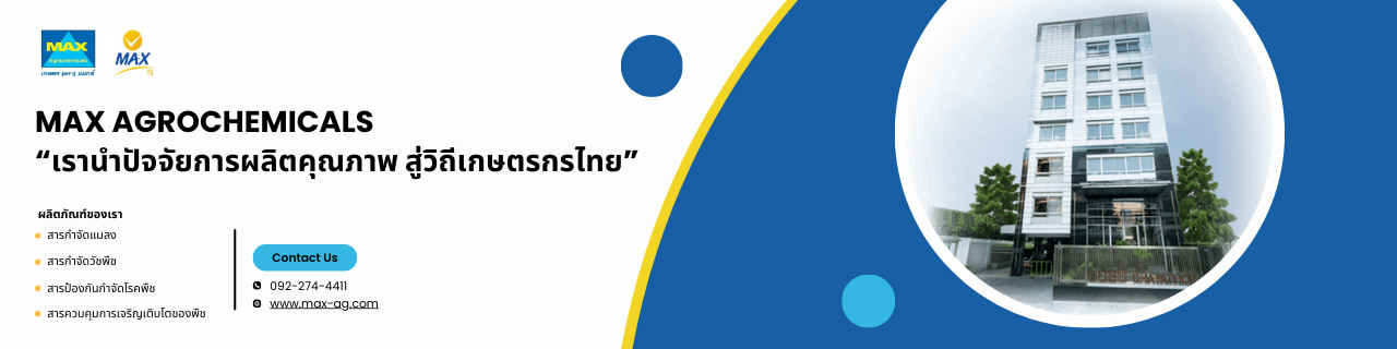 งาน,หางาน,สมัครงาน %แมกซ์ เอจี
