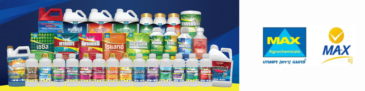 งาน,หางาน,สมัครงาน %แมกซ์ เอจี