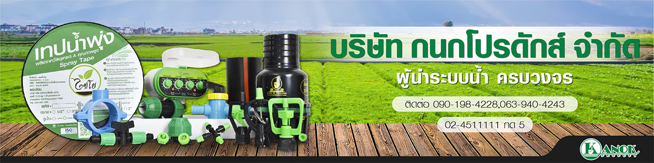 Jobs,Job Seeking,Job Search and Apply %กนกโปรดักส์