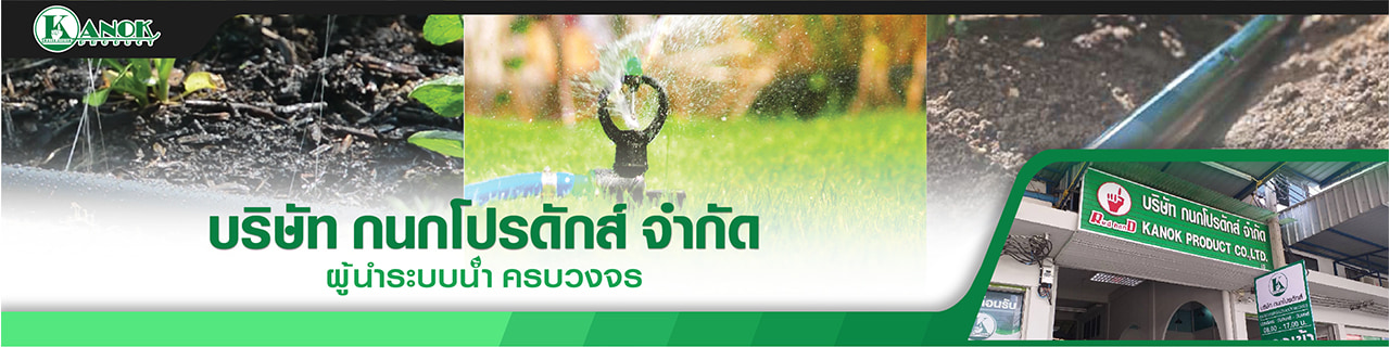 Jobs,Job Seeking,Job Search and Apply %กนกโปรดักส์