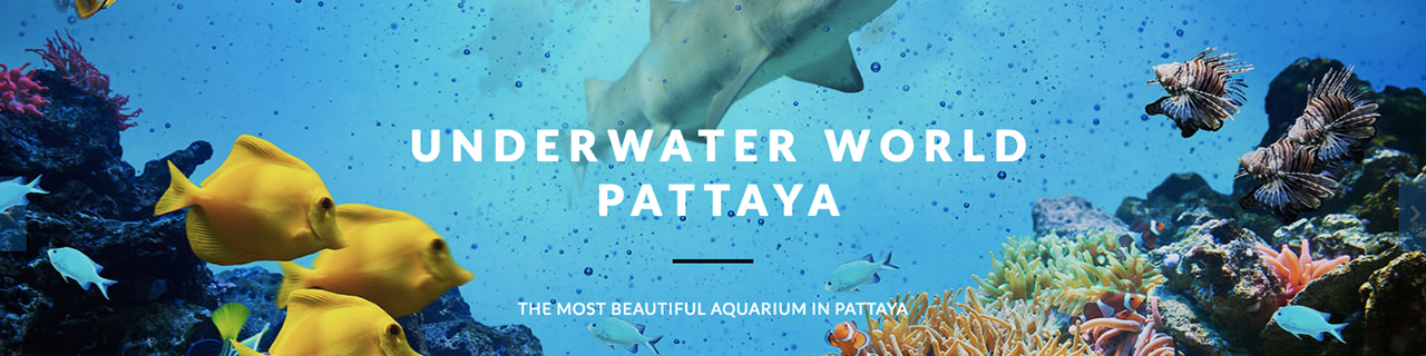 Jobs,Job Seeking,Job Search and Apply Underwater World Pattaya