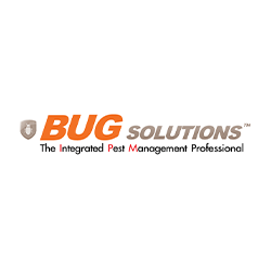 Jobs,Job Seeking,Job Search and Apply บั๊ก โซลูชันส์ Bug Solutions