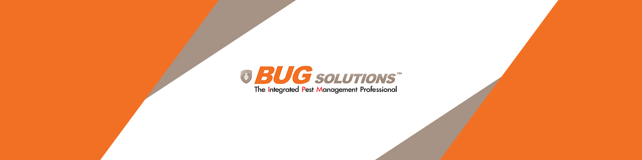 งาน,หางาน,สมัครงาน บั๊ก โซลูชันส์ Bug Solutions