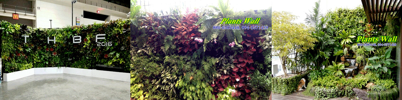 งาน,หางาน,สมัครงาน Plants Wall Products  Consulting