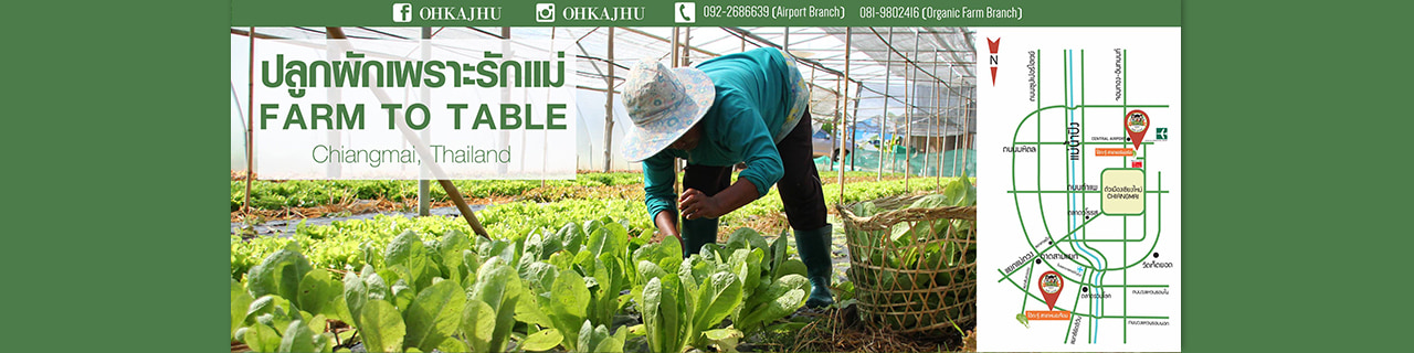 Jobs,Job Seeking,Job Search and Apply %ปลูกผักเพราะรักแม่   โอ้กะจู๋