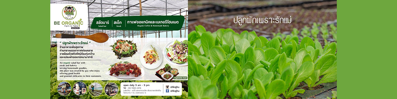 Jobs,Job Seeking,Job Search and Apply %ปลูกผักเพราะรักแม่   โอ้กะจู๋