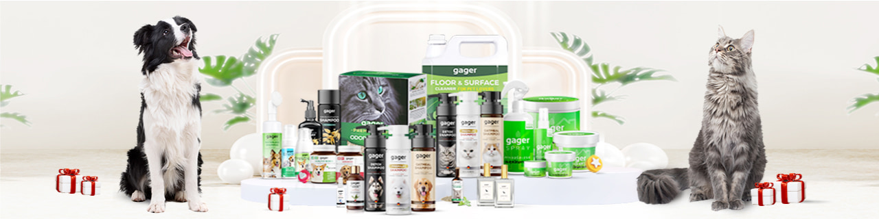 Jobs,Job Seeking,Job Search and Apply %ฮอร์นบิล เอเชีย