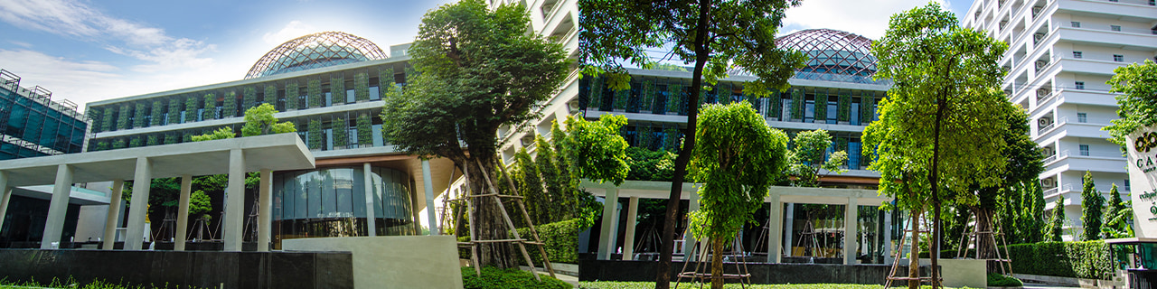 งาน,หางาน,สมัครงาน %ซีเอเอส เปเปอร์