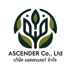 งาน,หางาน,สมัครงาน ASCENDER