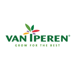 Jobs,Job Seeking,Job Search and Apply Van Iperen International
