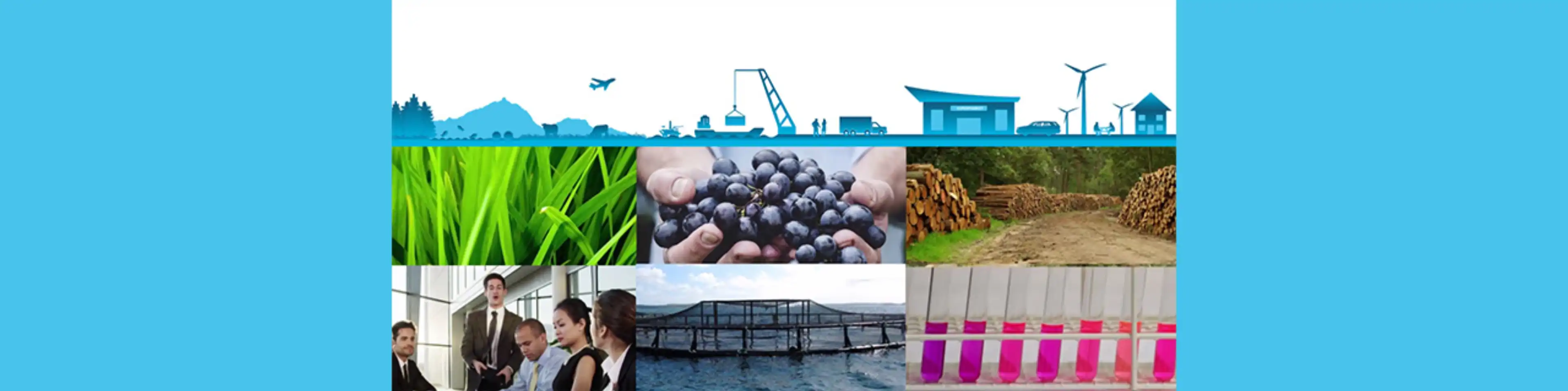 Jobs, Find Jobs, Job Search and Apply for Jobs at Control Union ...