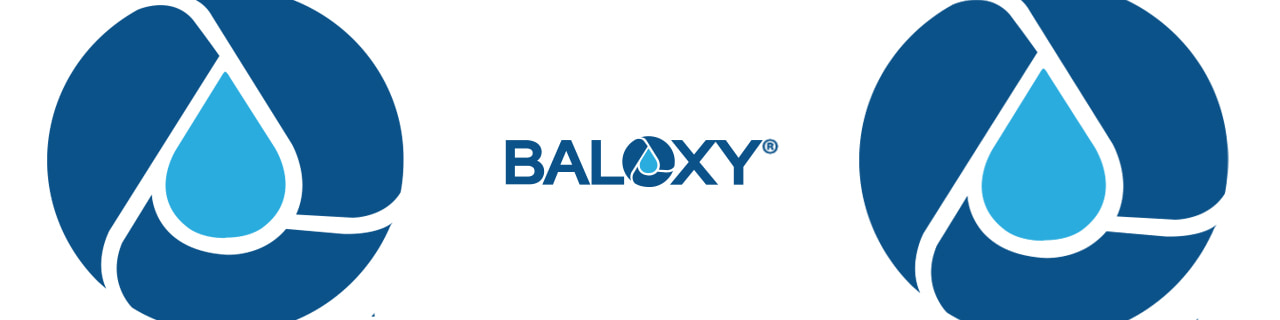 งาน,หางาน,สมัครงาน Baloxy Thai Integral