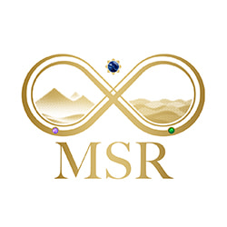 Jobs,Job Seeking,Job Search and Apply MSR Digital Partner