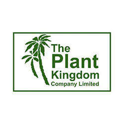 Jobs,Job Seeking,Job Search and Apply เดอะ แพลนท คิงด้อม  The Plant Kingdom