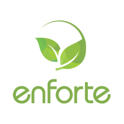 งาน,หางาน,สมัครงาน Enforte Company limited