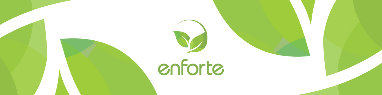 งาน,หางาน,สมัครงาน Enforte Company limited