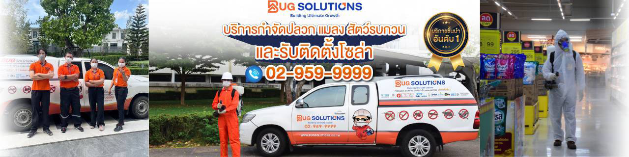 งาน,หางาน,สมัครงาน %บั๊ก โซลูชันส์