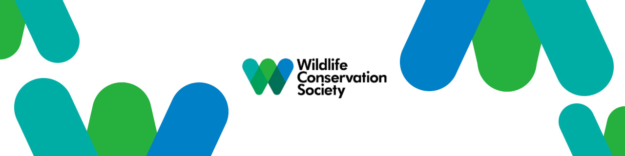 Jobs,Job Seeking,Job Search and Apply Wildlife Conservation Society WCS  Asia