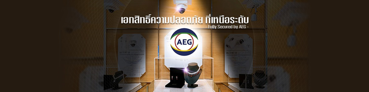 งาน,หางาน,สมัครงาน แองโกลอีสต์ชัวร์ตี้ ประเทศไทย  AEG