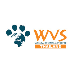 งาน,หางาน,สมัครงาน WVS Thailand Foundation