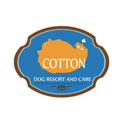 Jobs,Job Seeking,Job Search and Apply Cotton Dog Resort and Care