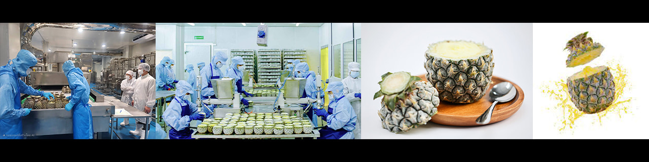 Jobs,Job Seeking,Job Search and Apply %แม็คซ์ฟู๊ด กรุ๊ป