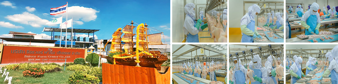 งาน,หางาน,สมัครงาน %Silver Farm Center EST266  ซิลเวอร์ ฟาร์ม เซ็นเตอร์