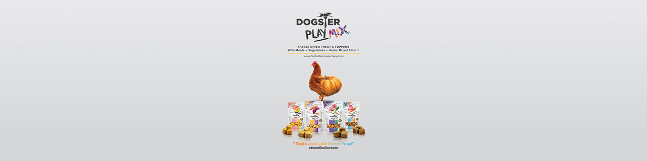 งาน,หางาน,สมัครงาน %เฮลตี้เพ็ทฟู๊ด  Healthy Pet Food