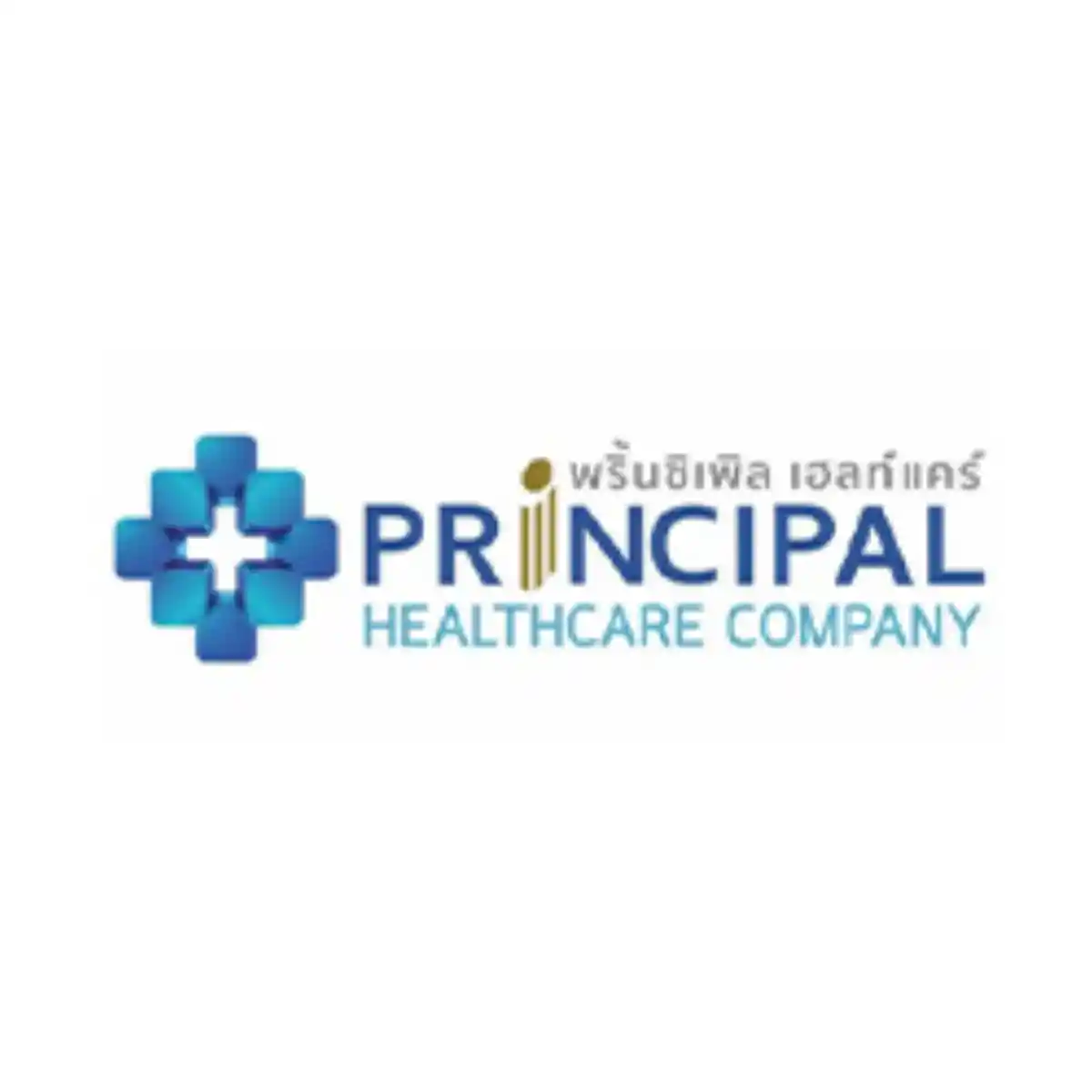 งาน,หางาน,สมัครงาน %HOSPITAL MANAGEMENT SERVICES