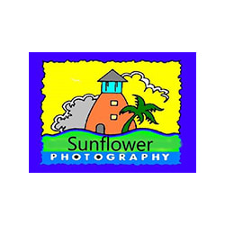 Jobs,Job Seeking,Job Search and Apply Sunflower Photography