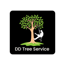 Jobs,Job Seeking,Job Search and Apply DD Tree Service