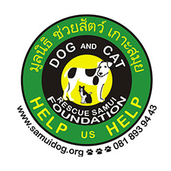 Jobs,Job Seeking,Job Search and Apply สัตวแพทย์ Dog  Cat Rescue Samui Foundation