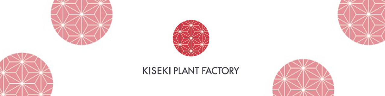 งาน,หางาน,สมัครงาน Kiseki Plant Factory Thailand