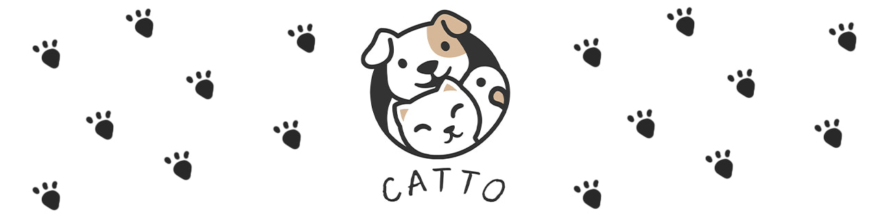 Jobs,Job Seeking,Job Search and Apply Catto store